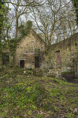 Fototapeta na wymiar Old ruins in Lumsdale Valley in Matlock, Derbyshire, UK