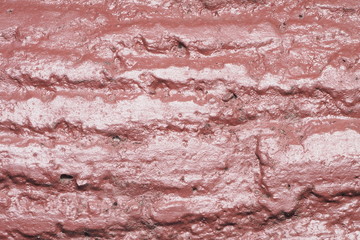 Backgrounds/OLYMPUS DIGITAL CAMERA