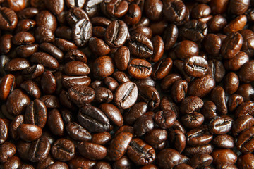 Roasted Coffee Beans background texture