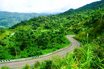curved Road in forest , Thailand.
