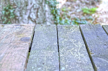 background of table of wood planks