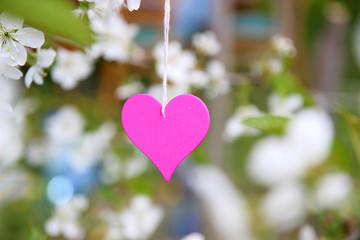 Love. Wooden heart in cherry blossom. Wooden clothespin in the form of heart