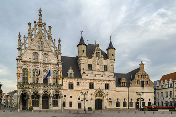 Fototapeta na wymiar Mechelen City Hall, Beldium