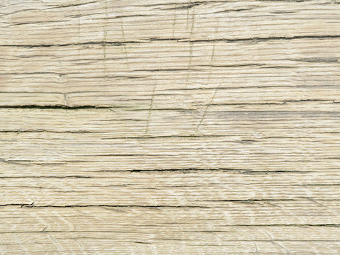 Texture of old oak wood