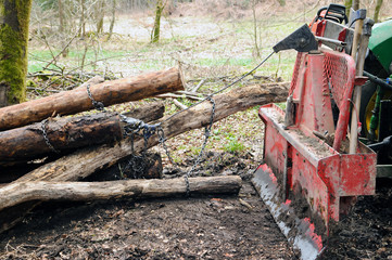 Tractor is skidding cut trees out of the forest.