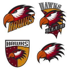 Professional sports logo hawks