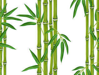 Fototapeta na wymiar Seamless pattern with bamboo plants and leaves. Background made without clipping mask. Easy to use for backdrop, textile, wrapping paper