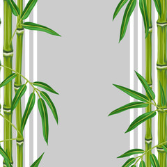 Seamless pattern with bamboo plants and leaves. Background made without clipping mask. Easy to use for backdrop, textile, wrapping paper