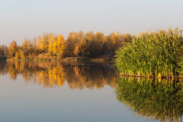 Pond in autumn