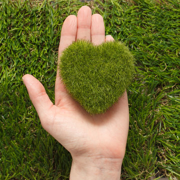 Рука держит эко сердце из травы