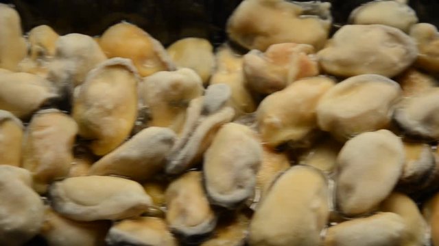 Congelaci&oacute; d'aliments Congelaci&oacute;n Frozen food Surgelazione Tiefk&uuml;hlkost تبريد سريع 냉동식품 急凍食品 Diepvriezen voedselconservering Surgelati Cong&eacute;lation Djupfrysning Mrożonka