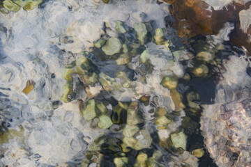 coral reef at low tide