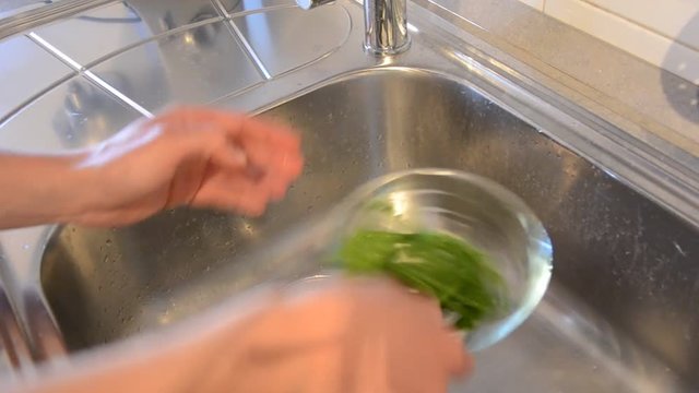 338 - green beans