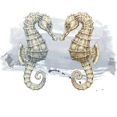 Summer background, seahorse over grunge background © Danussa