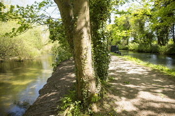 Canal and the River. A tract of land divides a man made canal from the local river even though the two run side by side. 