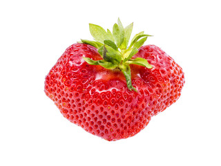 strawberry on white background