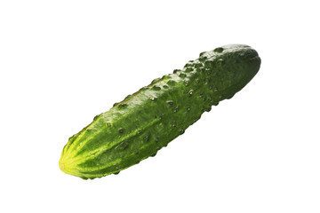 Fresh cucumber isolated on white