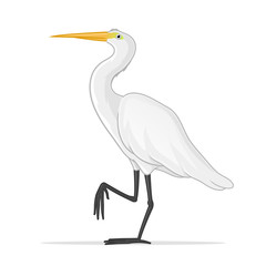 White Egret vector illustration
