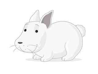 Cute little white bunny vector illustration