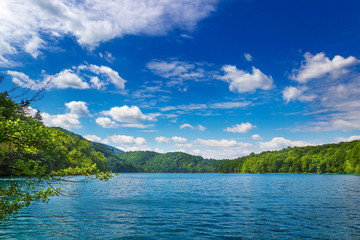 Fototapeta na wymiar Summer landscape. Plitvice lakes. National park. Croatia.