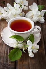 Still life with tea cup and blossom branch