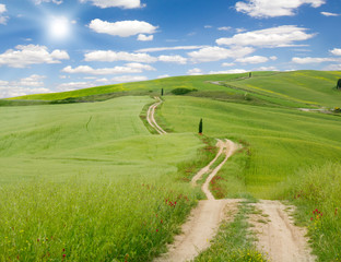 Spring field and road