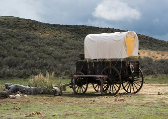 Western covered chuckwagon for cooking food on the trail drive