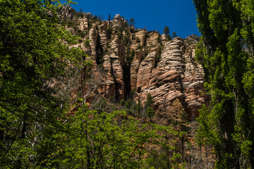 Wind, Water, Red Earth and Sedona