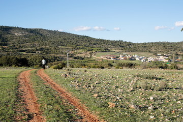 Fototapeta na wymiar dirt road leading to the village
