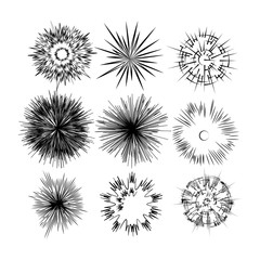 Set of  Vector Drawings Top View Trees and Shrubs – Landscape Design Elements for landscape design 