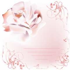 Romantic rose letter