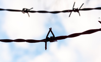 Barbed wire silhouetted against a cloudy blue sky