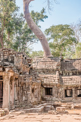 Naklejka premium Temple in angkor