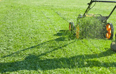 Lawn mower mower, grass, equipment, mowing, gardener, care, work, tool, 