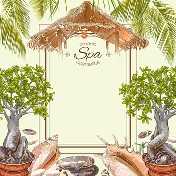 Tropic style spa treatment colorful frame with bonsai plant,shells and stones.Design for cosmetics, store,spa and beauty salon,natural and organic health care products.Vector illustration.