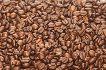 Roasted Coffee Beans