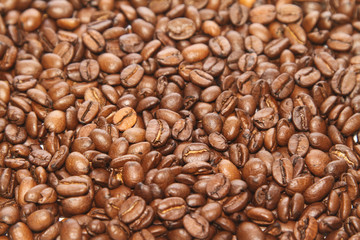 Roasted Coffee Beans