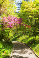 Botanical garden pathway