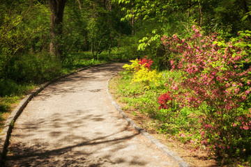 Garden pathway