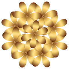 Composition vector gold flowers on a white background. 