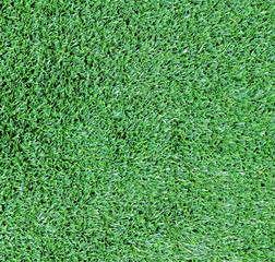 Fototapeta premium Artificial Grass Field