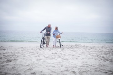 Happy senior couple with their bike