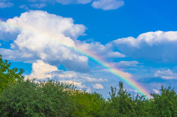 rainbow over the orchard
