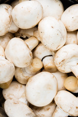 champignons in a metal bowl