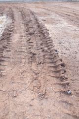 Tire prints on forest road
