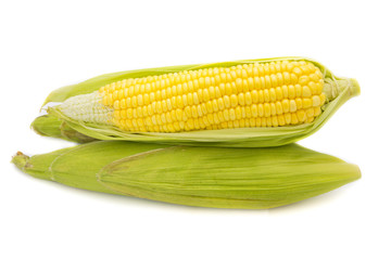 Fresh corn on cobs on white background, closeup