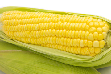 Fresh corn on cobs on white background, closeup