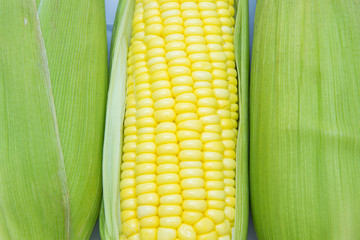 Closeup fresh corn on cobs. corn background