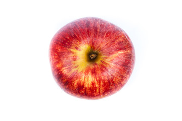 Red apple on white background