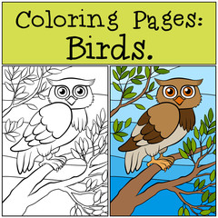 Coloring Pages: Birds. Little cute owl sits on the tree branch.